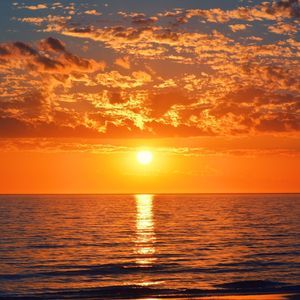 Meet your Posher, Luismario